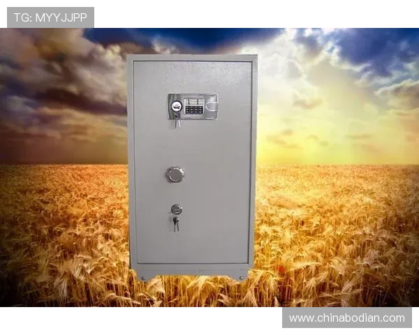 凯发娱发k8平台最新玩法介绍与安全保障措施全面解析